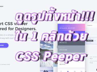 CSS Peeper ดูดรูปทั้งหน้าเว็บ สคริปต์ป้องกันคลิกขวาก็เอาไม่อยู่